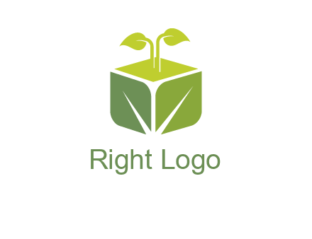 leaf box logo