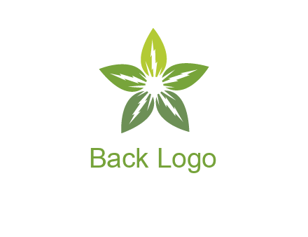 leaves star logo