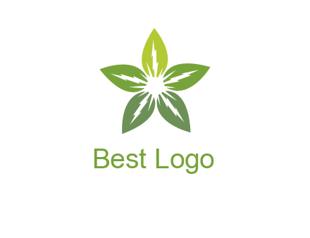 leaves star logo