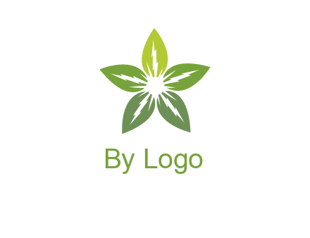 leaves star logo