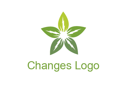 leaves star logo