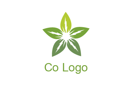 leaves star logo