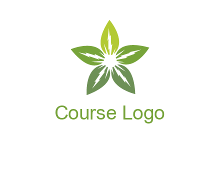 leaves star logo