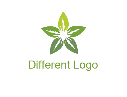 leaves star logo