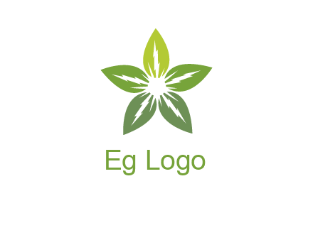 leaves star logo