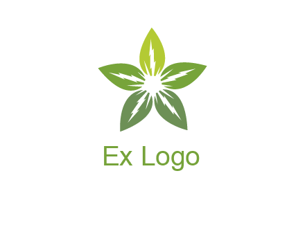 leaves star logo