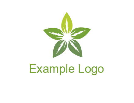 leaves star logo