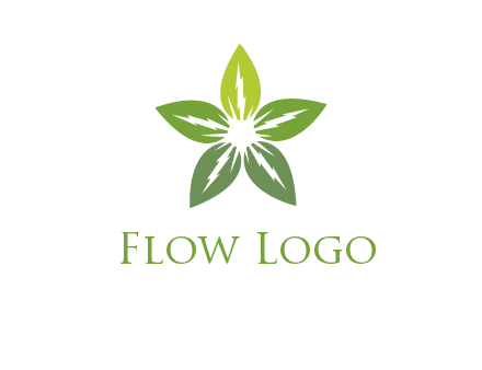 leaves star logo