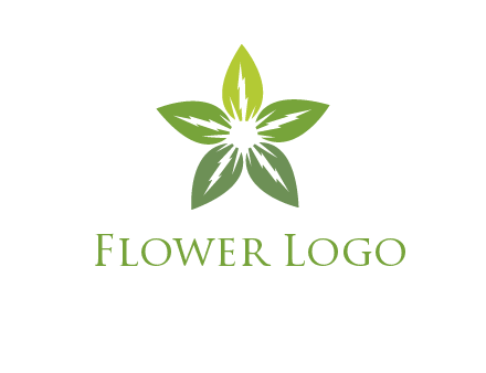 leaves star logo