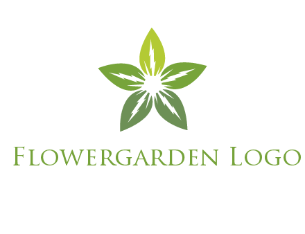 leaves star logo