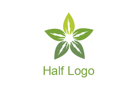 leaves star logo