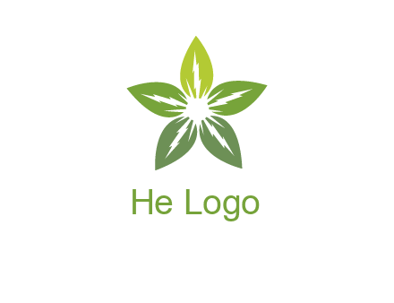 leaves star logo