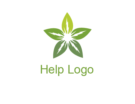 leaves star logo