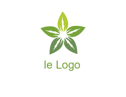 leaves star logo
