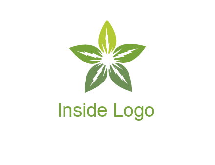 leaves star logo