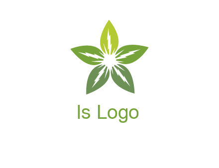 leaves star logo