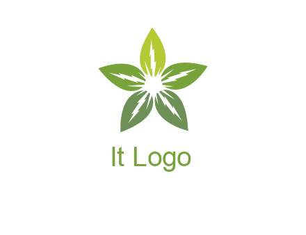leaves star logo