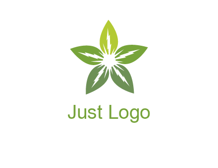 leaves star logo