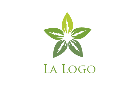 leaves star logo