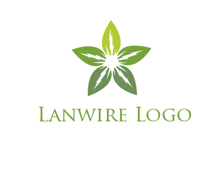 leaves star logo