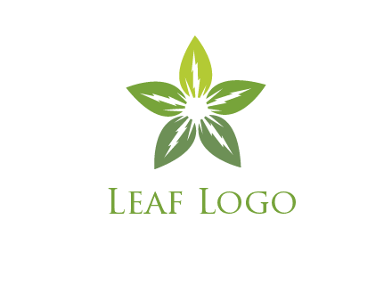 leaves star logo