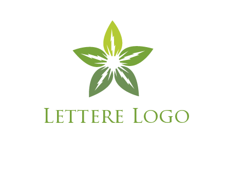 leaves star logo