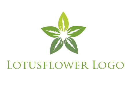 leaves star logo