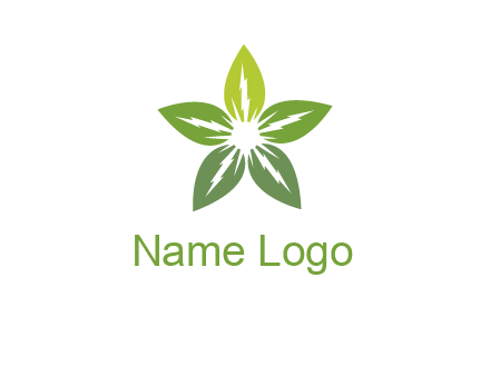 leaves star logo