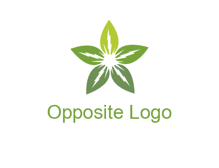 leaves star logo