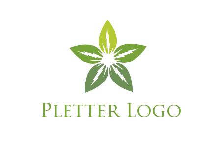 leaves star logo