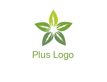 leaves star logo