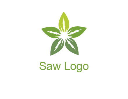 leaves star logo