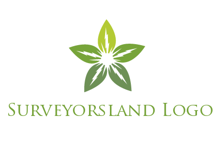 leaves star logo