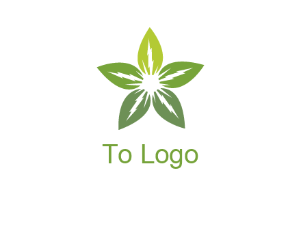 leaves star logo