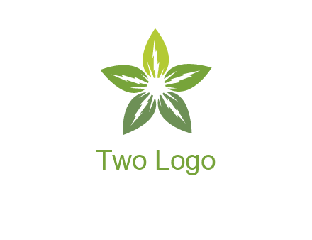 leaves star logo