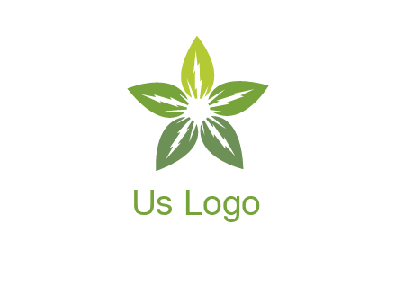 leaves star logo