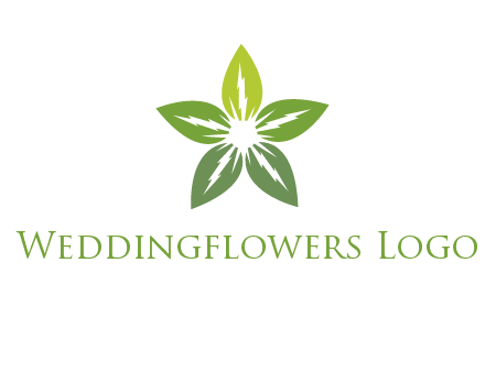 leaves star logo