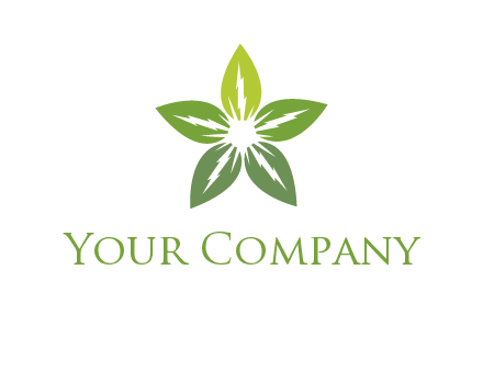 leaves star logo