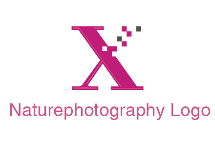 letter x pixels logo