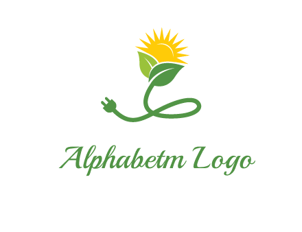 plug with leaf and sun logo