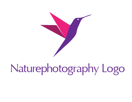 origami hummingbird logo