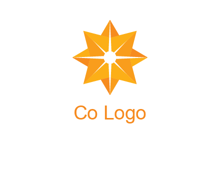 abstract star logo