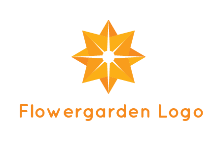 abstract star logo