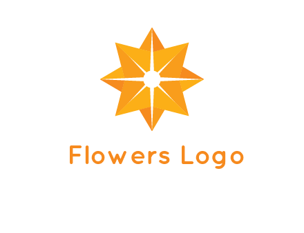 abstract star logo
