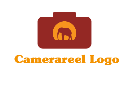 elephant in front of sun in camera