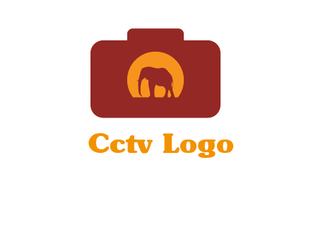elephant in front of sun in camera
