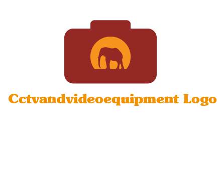 elephant in front of sun in camera