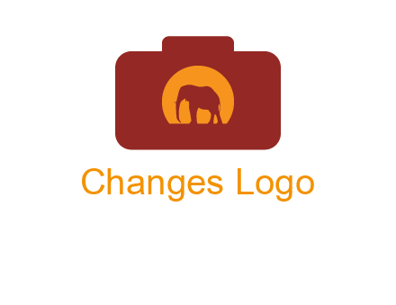 elephant in front of sun in camera