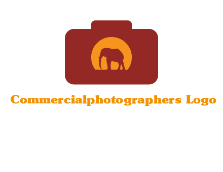 elephant in front of sun in camera