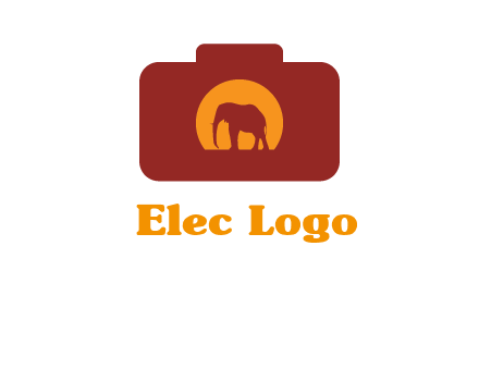 elephant in front of sun in camera